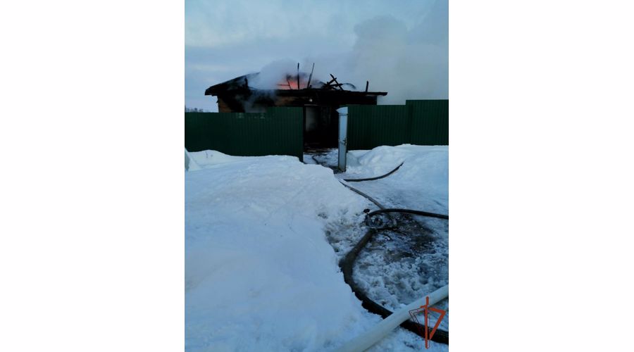 Росгвардейцы помогли МЧС локализовать пожар в Нижегородской области