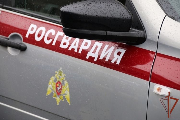 Находившегося в розыске правонарушителя задержали сотрудники Росгвардии в Ломоносове 