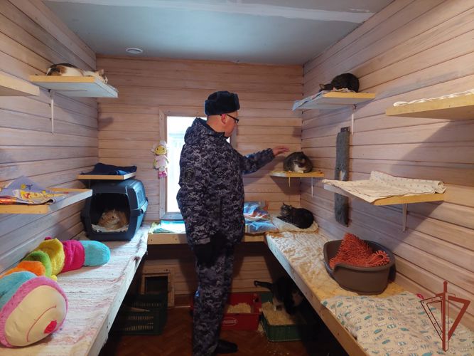 Росгвардейцы помогли приюту для бездомных животных в Ленинградской области
