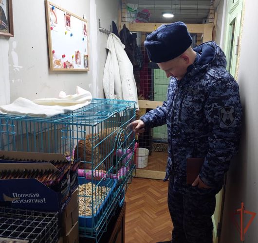 Росгвардейцы помогли приюту для бездомных животных в Ленинградской области