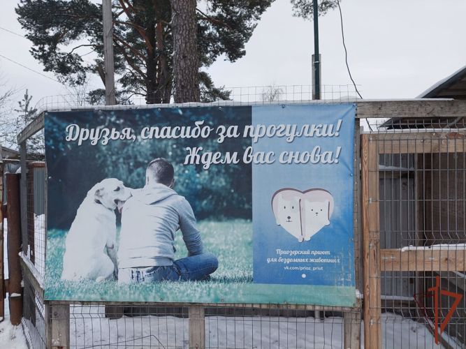 Росгвардейцы помогли приюту для бездомных животных в Ленинградской области