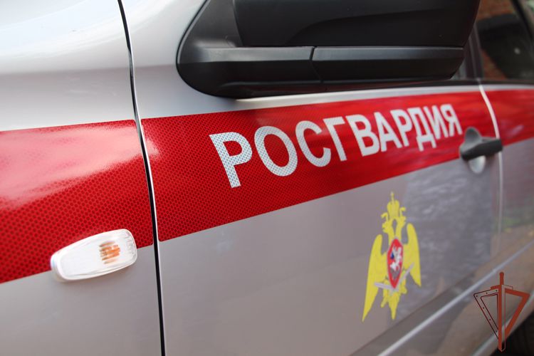Более 170 подозреваемых в преступлениях задержали росгвардейцы Центрального округа за прошедшую неделю
