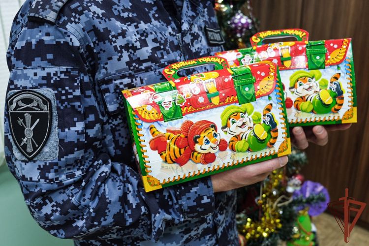 Акцию «Дед Мороз специального назначения» поддержали росгвардейцы в Смоленске