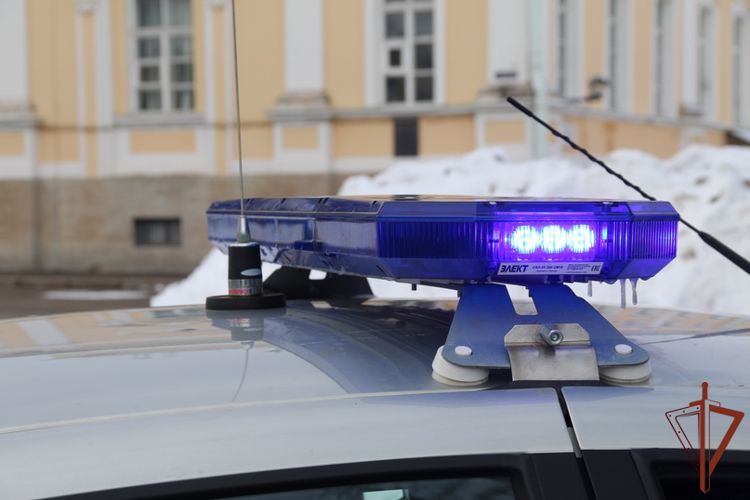 В Пушкине сотрудники Росгвардии задержали вооруженного топором дебошира