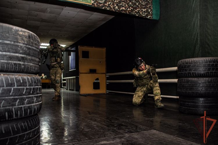 Стрельба в интерактивном тире