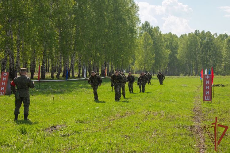 Лучшие команды разведки