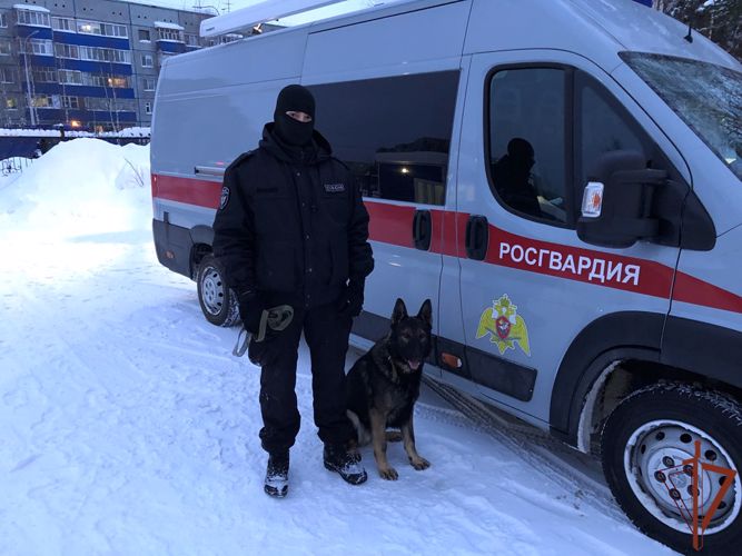 Росгвардия обеспечила правопорядок во время празднования Крещения Господня на Урале (видео)