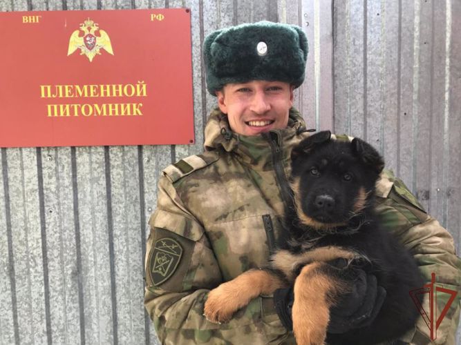 Уральский кинологический центр Росгвардии подвёл итоги своей работы за 2021 год