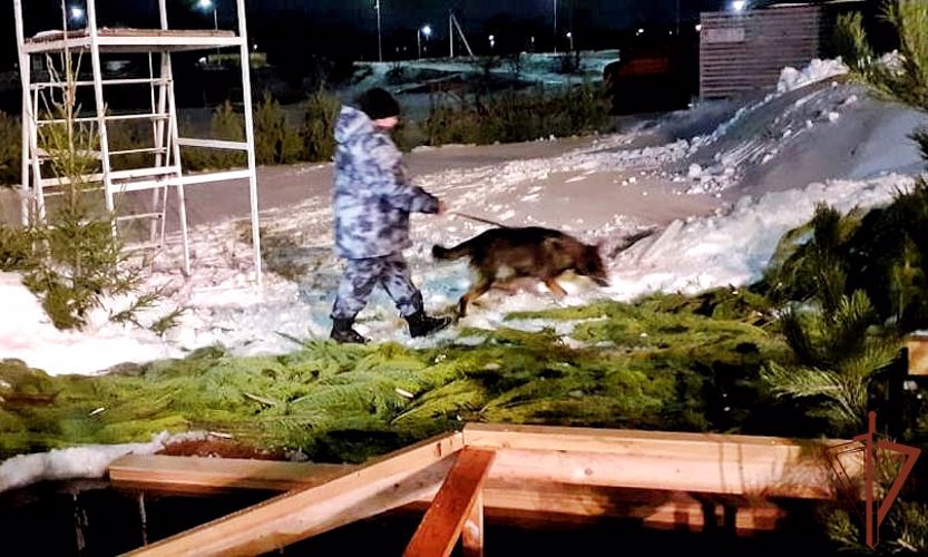 Правопорядок во время празднования Крещения Господня обеспечила Росгвардия на Юге России