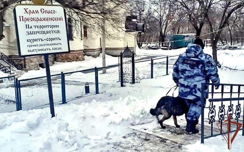 Правопорядок во время празднования Крещения Господня обеспечила Росгвардия на Юге России