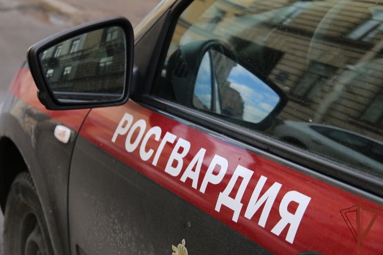Росгвардейцы задержали в Санкт-Петербурге подозреваемого в нанесении телесных повреждений 