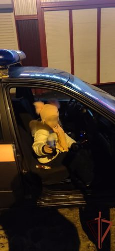 Потерявшегося ребёнка оперативно разыскали росгвардейцы в Новой Москве