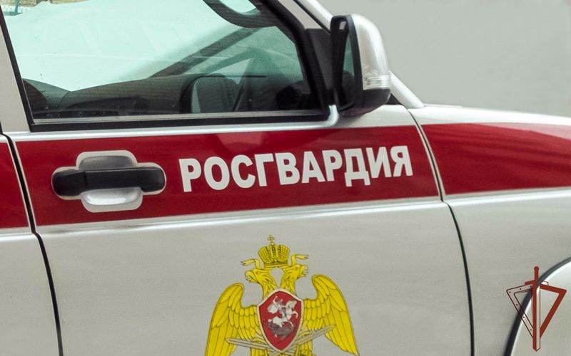 Росгвардейцы пришли на помощь беременной женщине на автодороге в Ростовской области