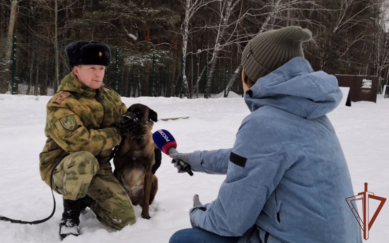 В эфире телеканала «Россия» кинолог Росгвардии рассказал о мерах безопасности при встрече с бродячими собаками (видео)