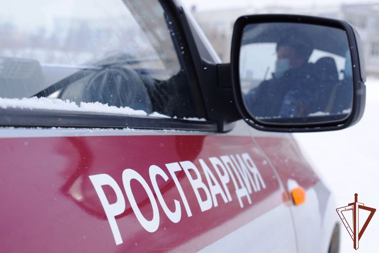 Патруль Росгвардии задержал жителя Нижегородской области, который не исполнил решение суда