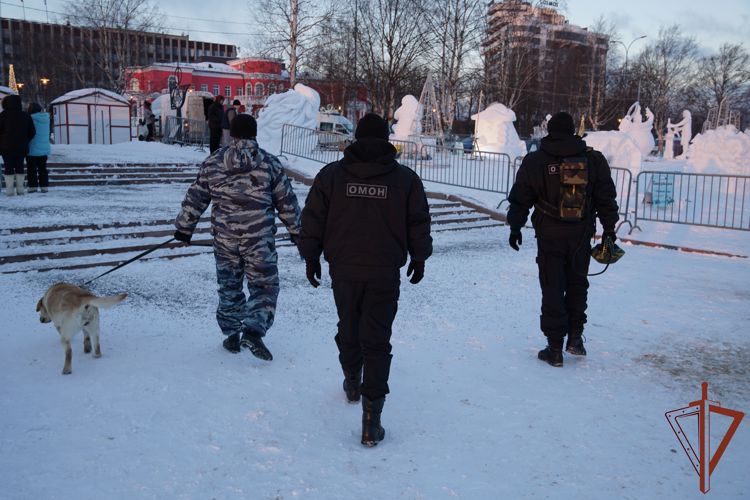 Росгвардейцы обеспечили правопорядок при проведении в Карелии Лыжни России и международного конкурса ледовых скульптур 