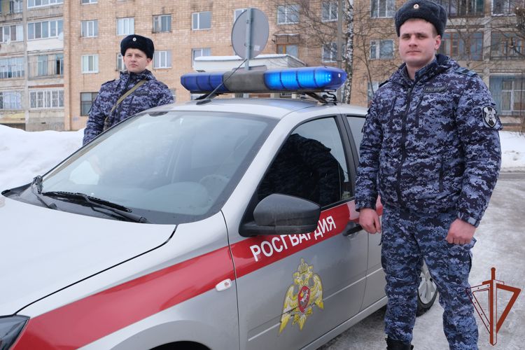 Сотрудники Росгвардии пришли на помощь застрявшему в снегу автолюбителю в Смоленске 