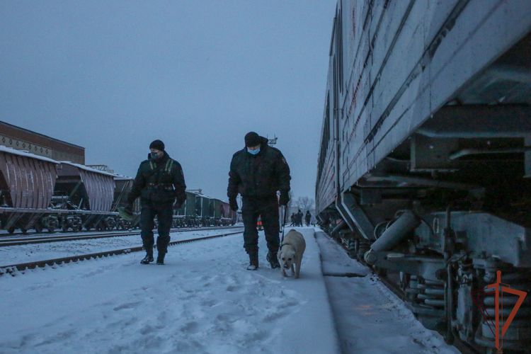Росгвардейцы обеспечивают правопорядок в рамках работы передвижного музея «Поезд Победы» в Ставрополе 