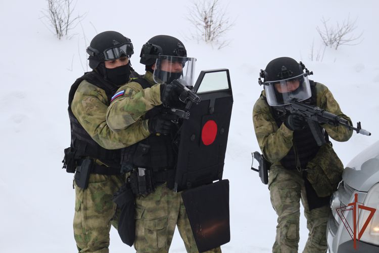 Подозреваемый в многомиллионной краже задержан сотрудниками СОБР Росгвардии в Москве