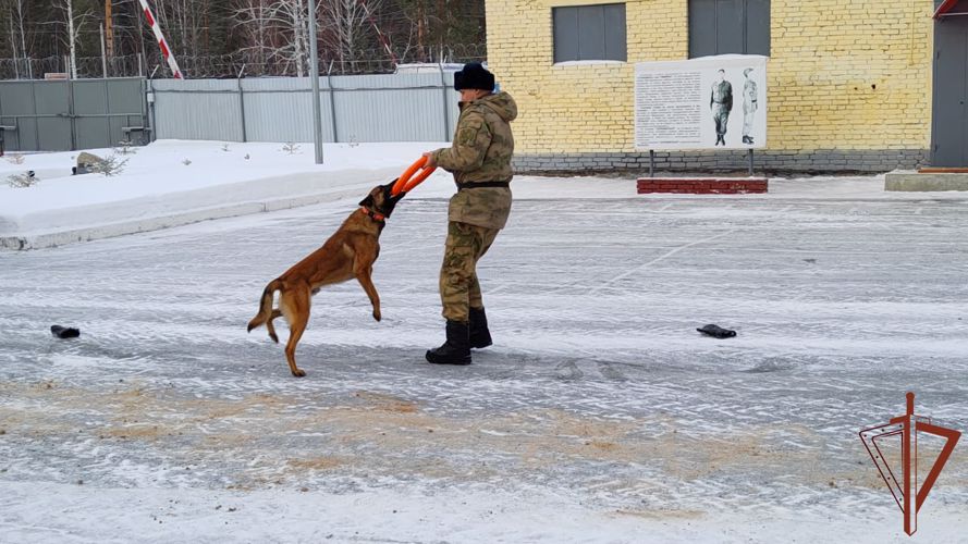 Росгвардейцы принимают участие в ведомственной акции «Неделя мужества» на Урале
