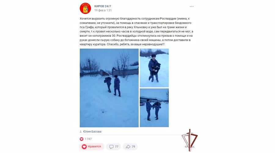 Жители Кирова поблагодарили росгвардейцев за помощь в спасении провалившейся под лед собаки