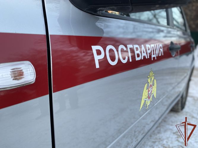 Находившийся в федеральном розыске мужчина задержан росгвардейцами в Томске