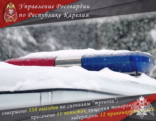 Сотрудники вневедомственной охраны Росгвардии задержали 12 правонарушителей на территории Карелии