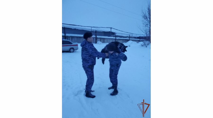Жители Кирова поблагодарили росгвардейцев за помощь в спасении провалившейся под лед собаки