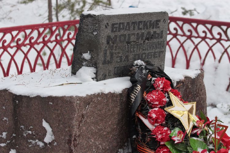 Память жертв Гражданской войны почтили росгвардейцы в Архангельской области