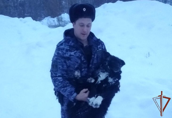 Жители Кирова поблагодарили росгвардейцев за помощь в спасении провалившейся под лед собаки