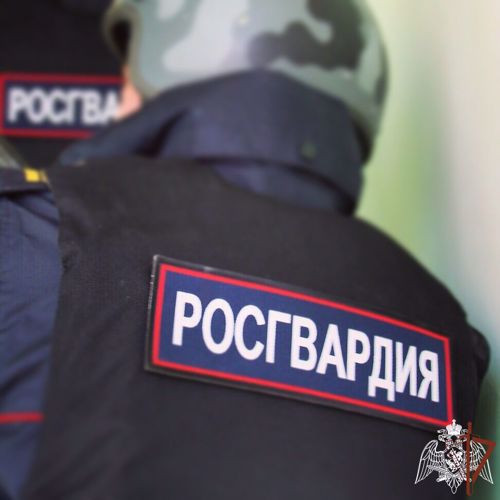 В Прикамье сотрудники Росгвардии задержали граждан, находящихся в розыске