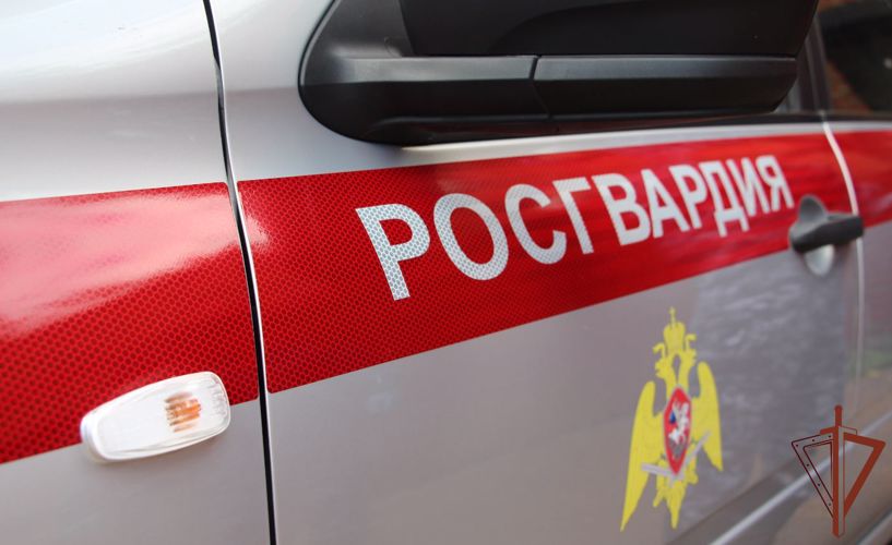 Нарядом Росгвардии задержан мужчина, который около года скрывался от правосудия