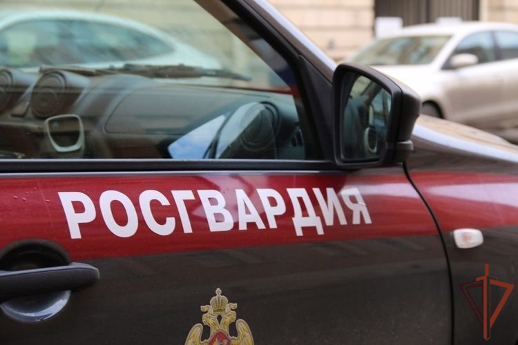 В Санкт-Петербурге сотрудники Росгвардии задержали подозреваемого в совершившего особо тяжкое преступления 