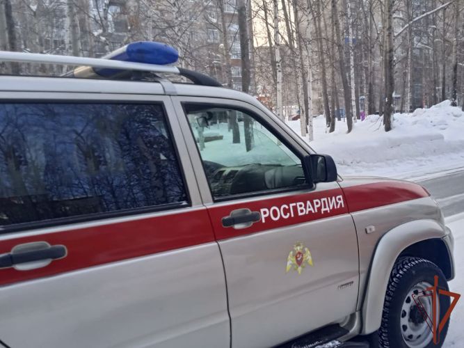 Сотрудники Росгвардии задержали подозреваемую в нанесении ножевого ранения мужчине