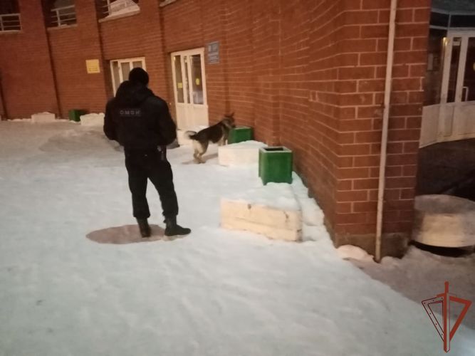Росгвардия обеспечила безопасность всероссийских и окружных спортивных мероприятий в Екатеринбурге
