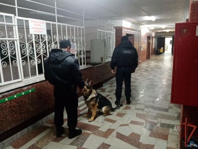Росгвардия обеспечила безопасность всероссийских и окружных спортивных мероприятий в Екатеринбурге