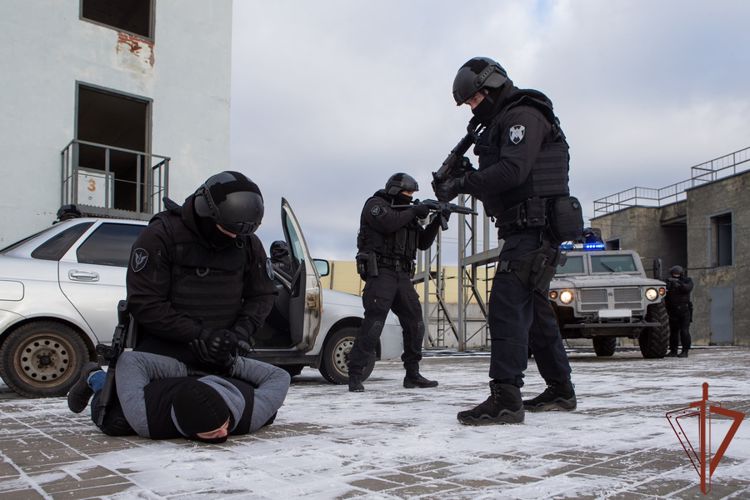 Настоящие «Зубры»