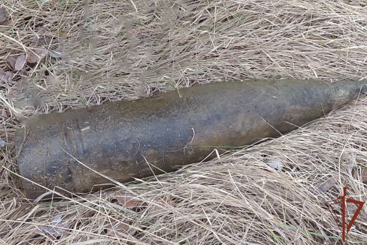 Взрывотехники краснодарского ОМОН Росгвардии уничтожили четыре боеприпаса времен Великой Отечественной войны