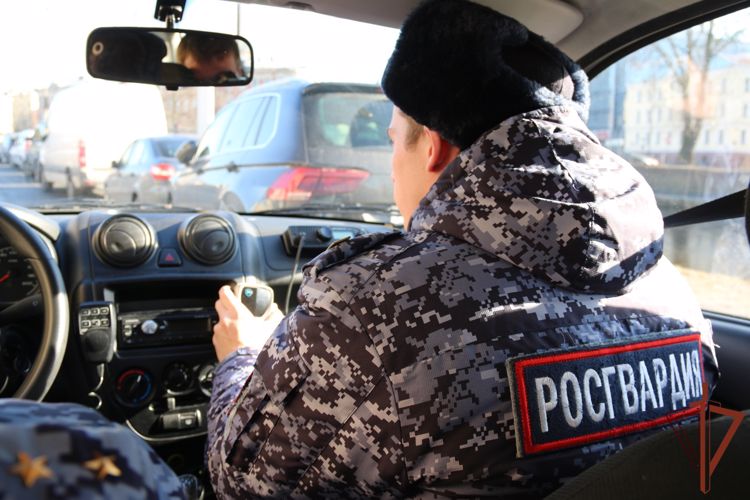Сотрудники Росгвардии в Нижегородской области задержали нетрезвого водителя