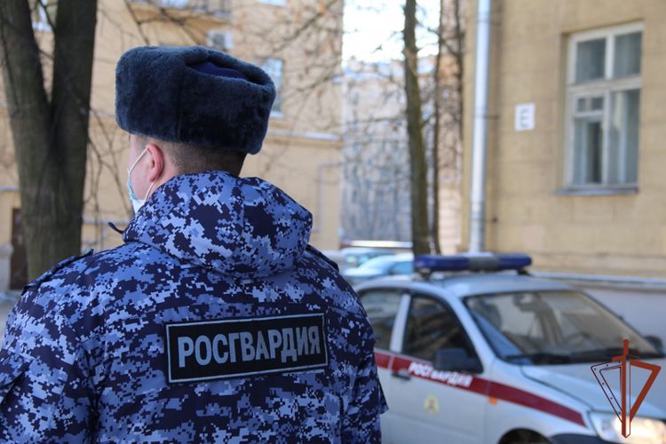 Ограбившего ребенка злоумышленника задержали по горячим следам сотрудники Росгвардии в Ленобласти