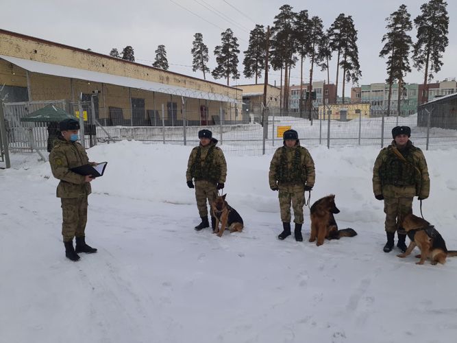 В подразделения Уральского округа Росгвардии прибыли на войсковую стажировку курсанты-кинологи