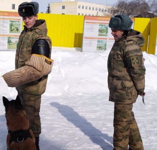 В подразделения Уральского округа Росгвардии прибыли на войсковую стажировку курсанты-кинологи
