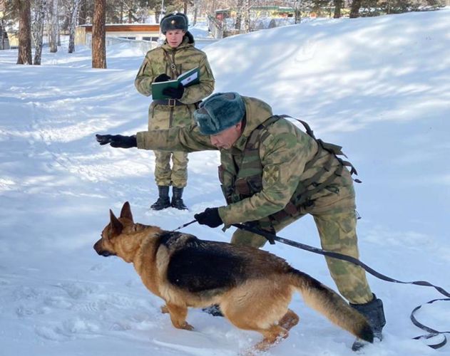 В подразделения Уральского округа Росгвардии прибыли на войсковую стажировку курсанты-кинологи