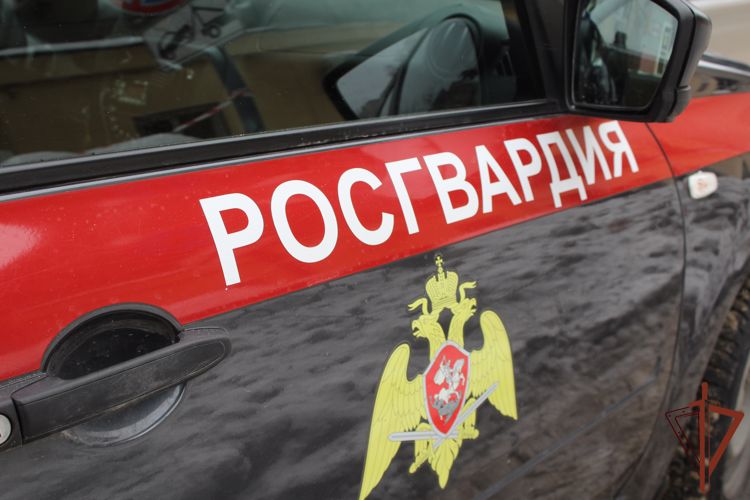 Факт «пьяного» вождения пресечен нарядом Росгвардии в Саратовской области
