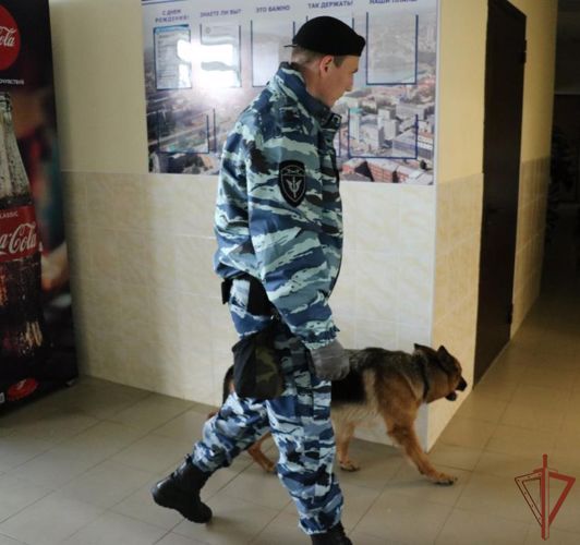 Росгвардейцы обеспечили правопорядок во время проведения матча Континентальной хоккейной лиги в Челябинской области