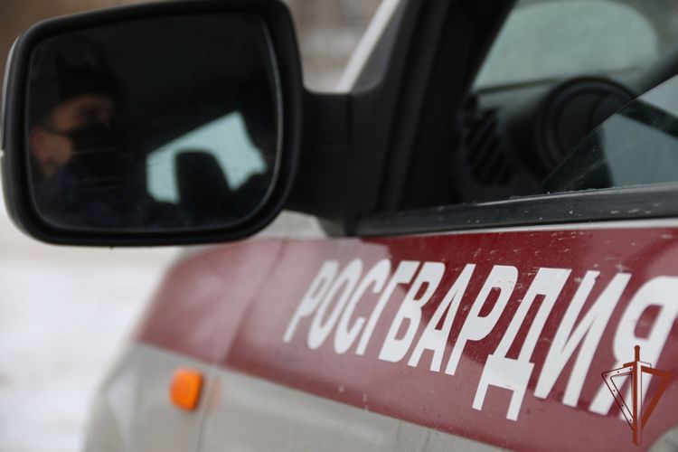 Подозреваемых в похищении человека задержал наряд Росгвардии в Санкт-Петербурге