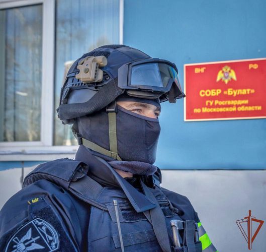 При содействии СОБР «Булат» Росгвардии в Подмосковье задержан вооруженный мужчина 