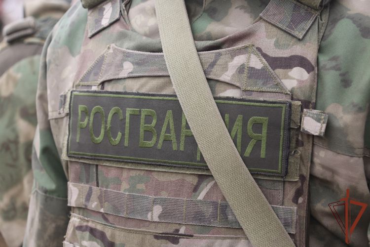 Росгвардия обнаружила и обезвредила более 200 мин на юге Украины