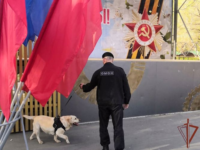Росгвардия обеспечила безопасность празднования Дня Великой Победы на Урале