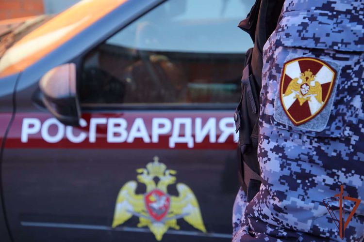 Патруль Росгвардии вернул родителям пропавшего ребёнка в Архангельской области